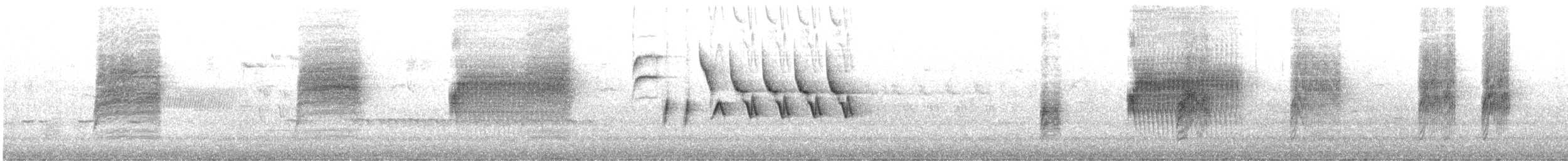 Cucarachero Colinegro (grupo spilurus) - ML227267451