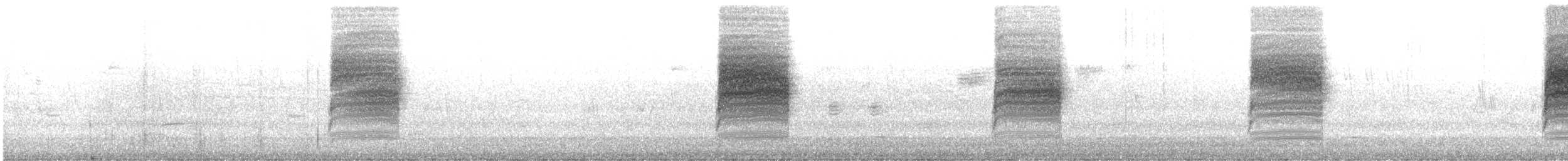 Cucarachero Colinegro (grupo spilurus) - ML227268181