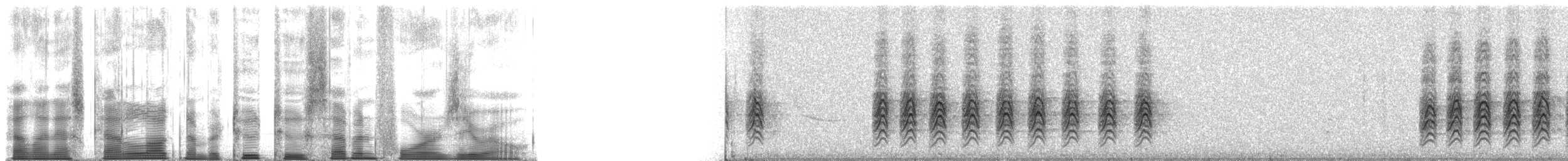 Méliphage fuligineux - ML22740