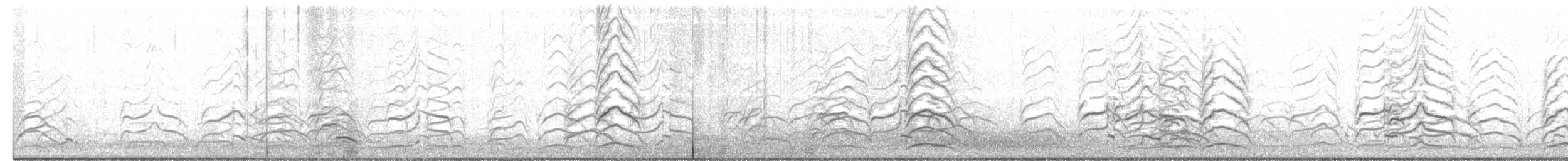 franklinmåke - ML227405491