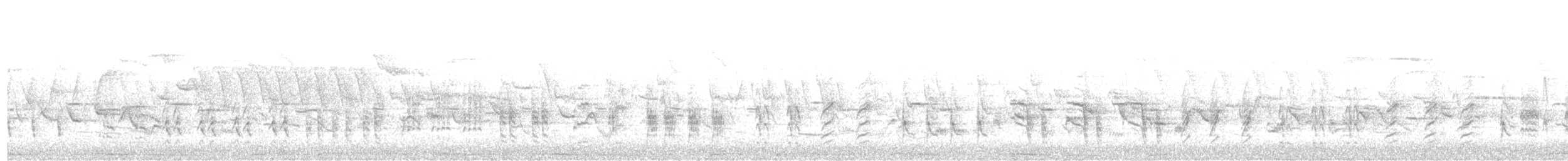 Common Reed Warbler - ML227426331