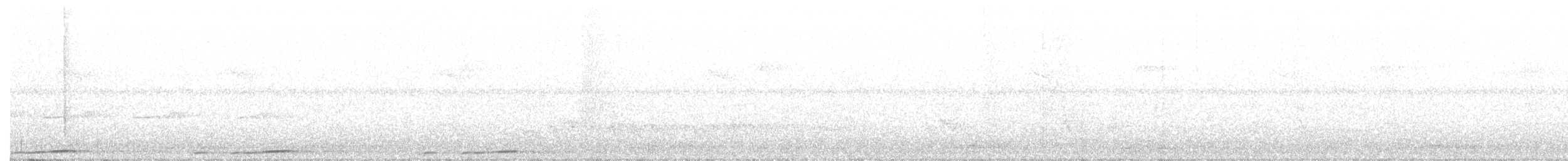 holub bažantí - ML227427271