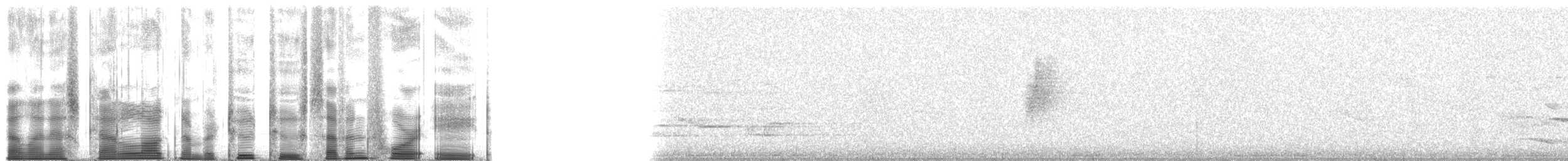 Дивоптах-шилодзьоб бурий - ML22748