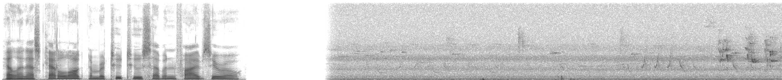 Дивоптах-шилодзьоб бурий - ML22750