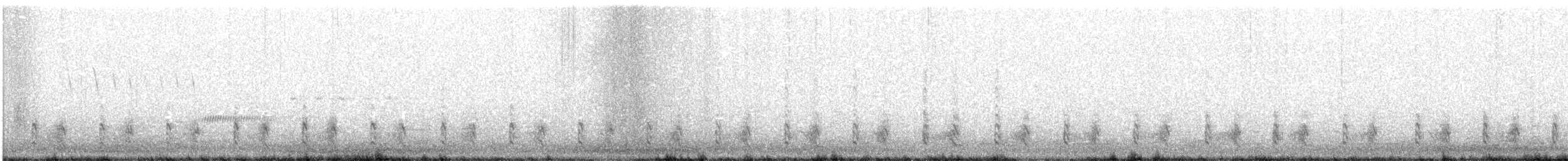 Wilson's Snipe - ML227518471