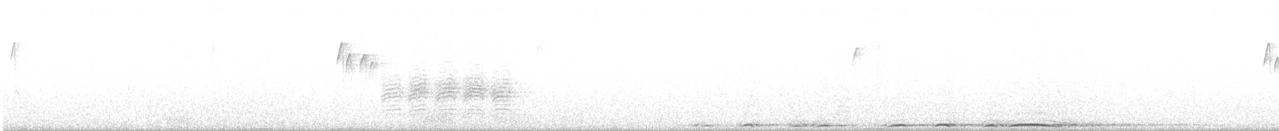 Chouette rayée - ML227522161