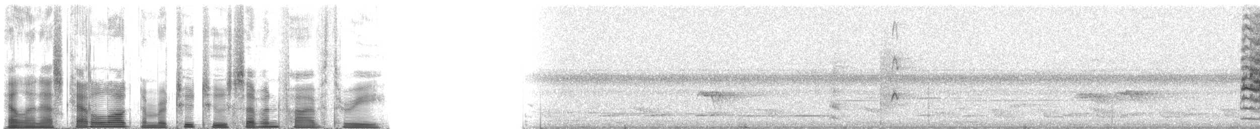 新幾內亞彩虹吸蜜鸚鵡 - ML22753