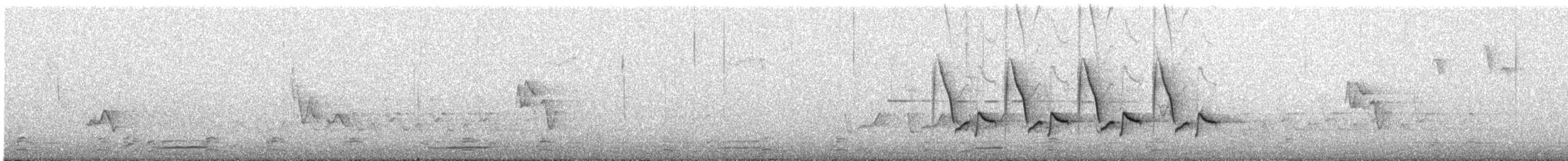 Каролинский крапивник - ML227536541