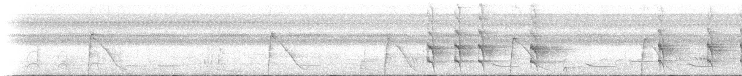 Gözlüklü Hokko (fasciolata/grayi) - ML227569