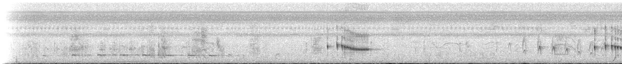 perlemortodityrann - ML227571