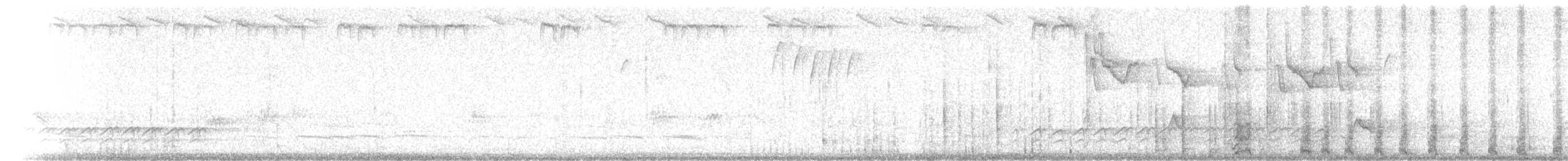 Eastern Gray Squirrel - ML227583