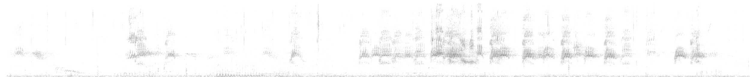 Wild Turkey - ML227586