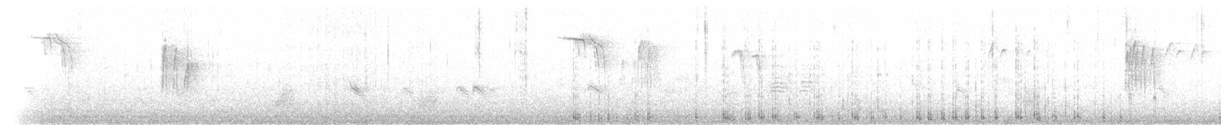 American Red Squirrel - ML227588