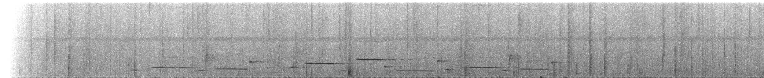 Толстоклювый крапивник (modulator) - ML227651