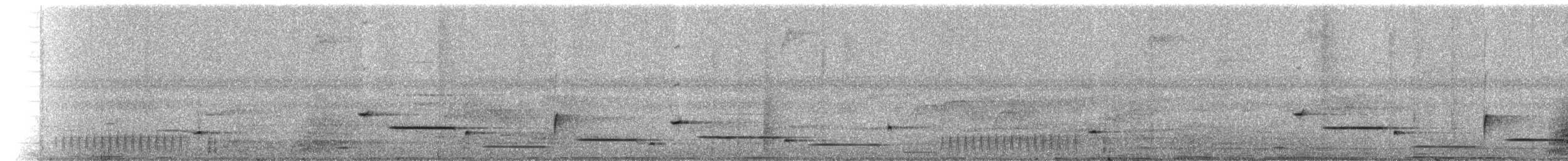 Толстоклювый крапивник (modulator) - ML227656