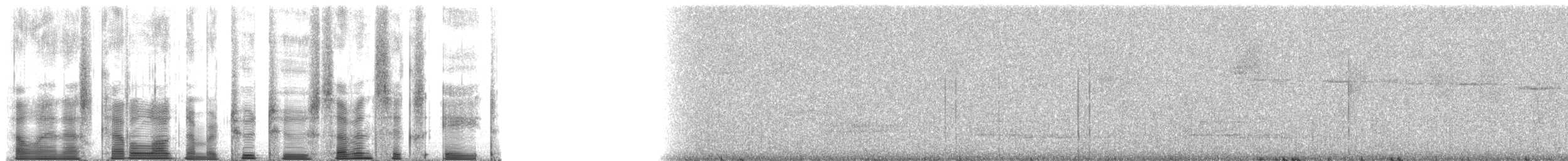 Дивоптах-шилодзьоб бурий - ML22768