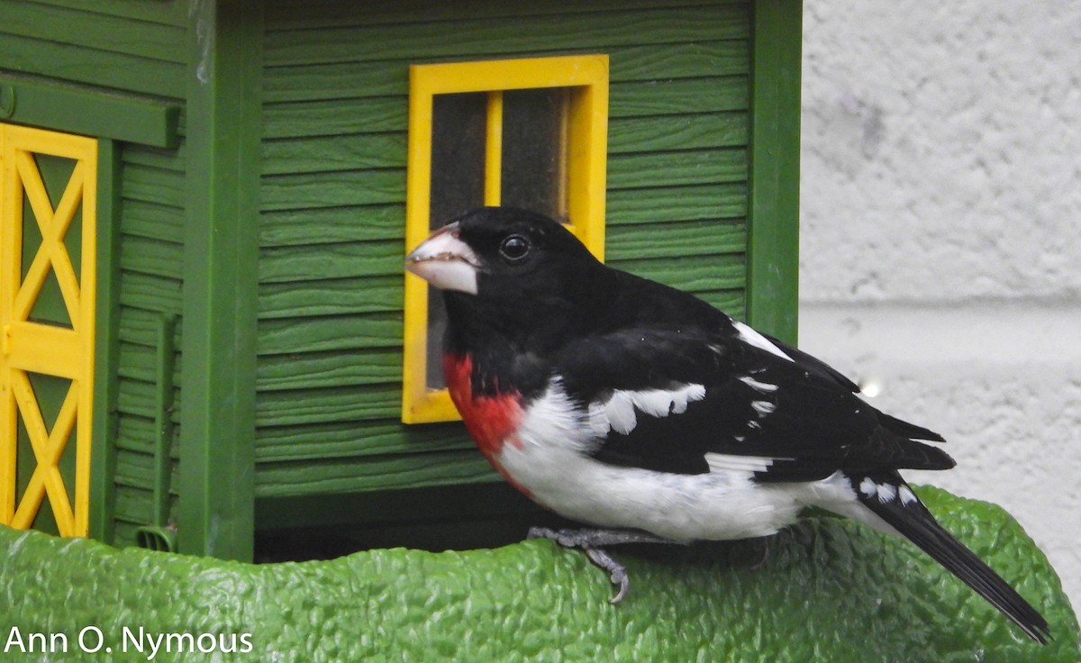 Maryland-DC Breeding Bird Atlas Checklist - 26 Apr 2020 - Fort ...