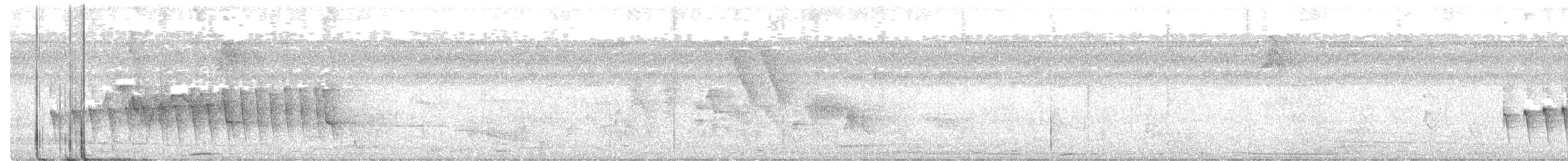 Chocó-Strichelameisenschlüpfer - ML227811991