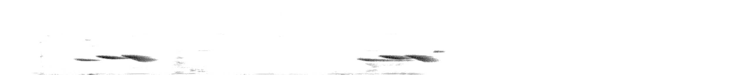 Square-tailed Bulbul - ML227821051