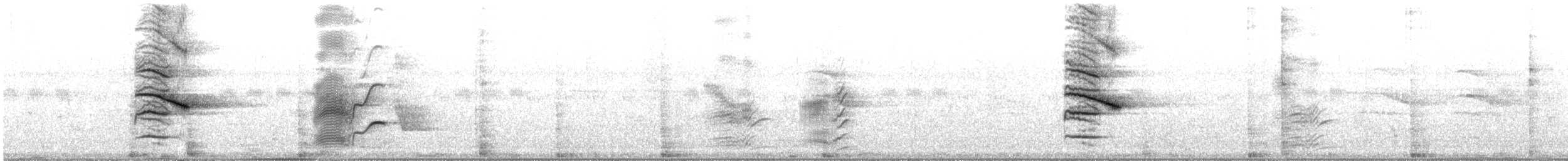 Индийская майна - ML227822101