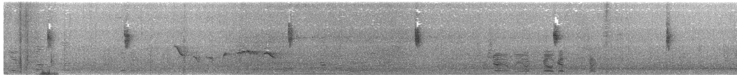 Умардын дууч шувуу - ML227834891