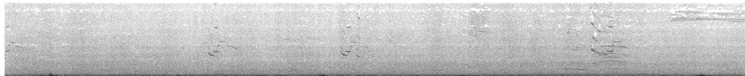 Grönland Martısı (kumlieni) - ML227865141