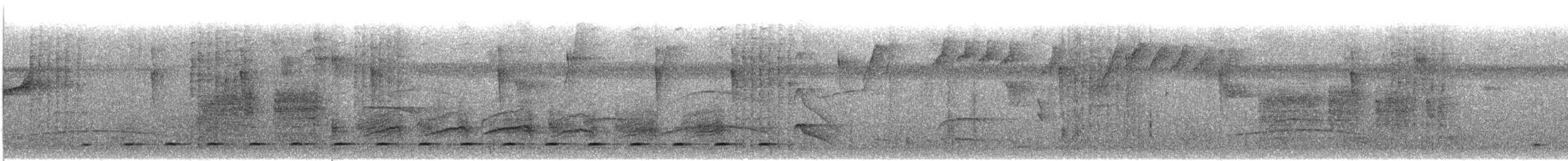 øgleugle (brasilianum gr.) - ML227869381