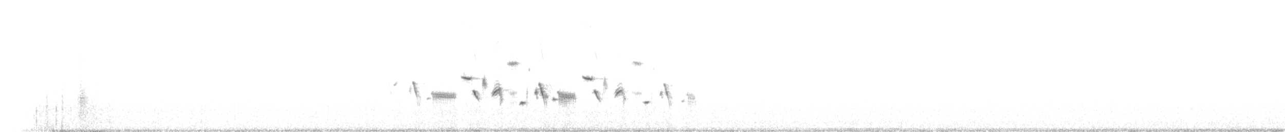 クロフヒメドリ（canescens） - ML227884671