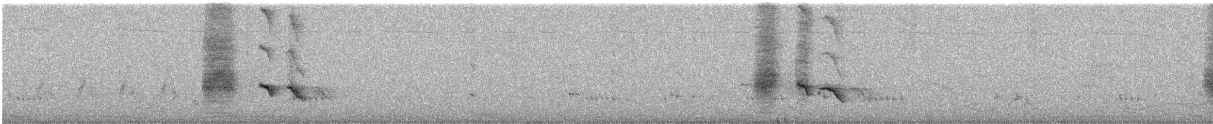 svartdrongo - ML227915111