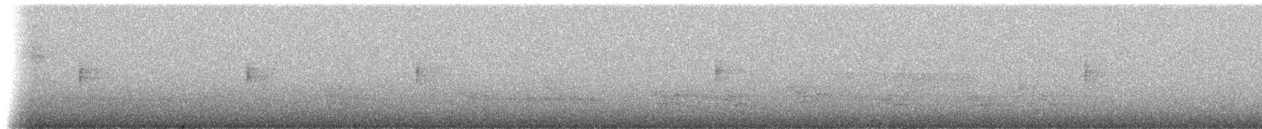 Трясогузковый певун - ML227924911