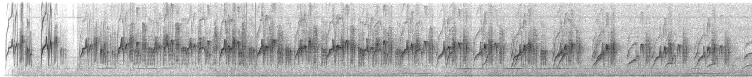 Drab Water Tyrant - ML227930651