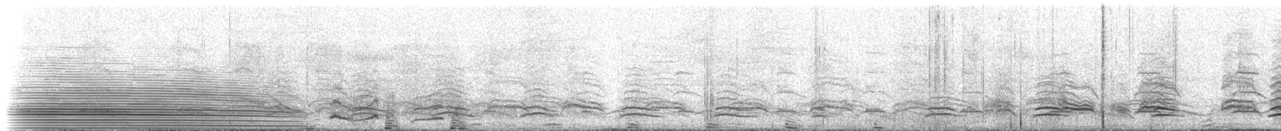 Magellanic Penguin - ML228004