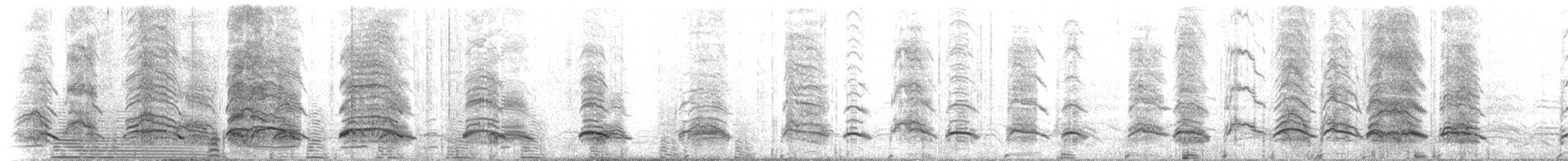 Magellanic Penguin - ML228005