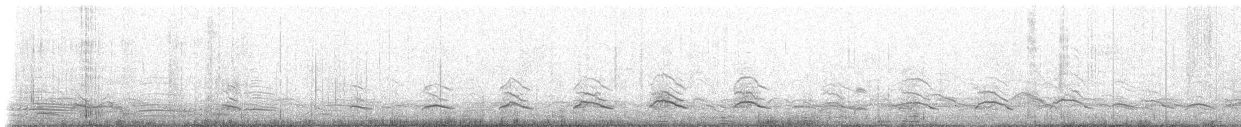 Magellanic Penguin - ML228007