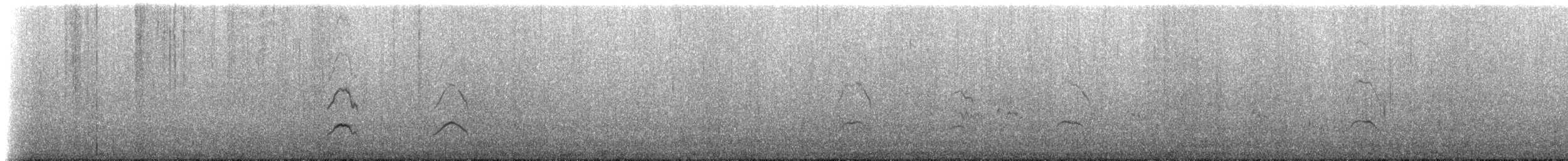 American Oystercatcher - ML228009