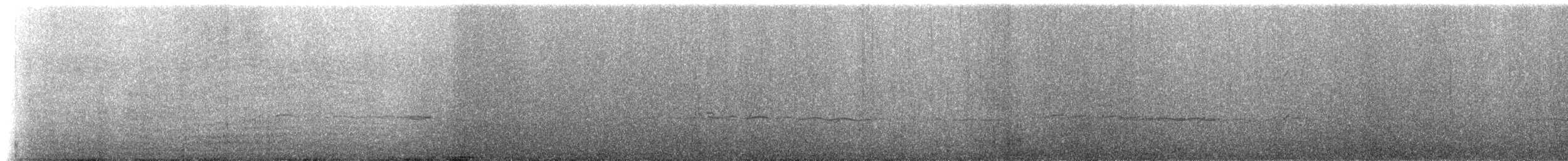 Magellanic Oystercatcher - ML228010