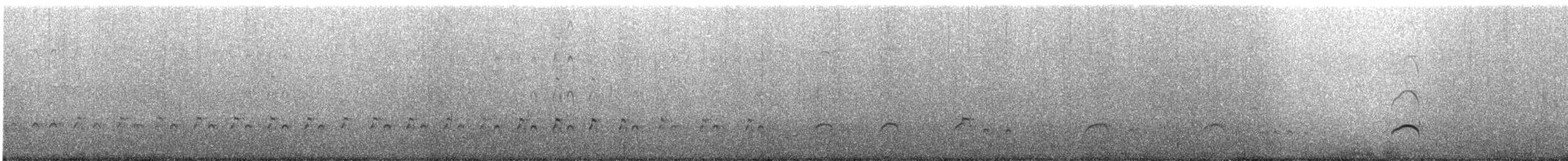 American Oystercatcher - ML228011