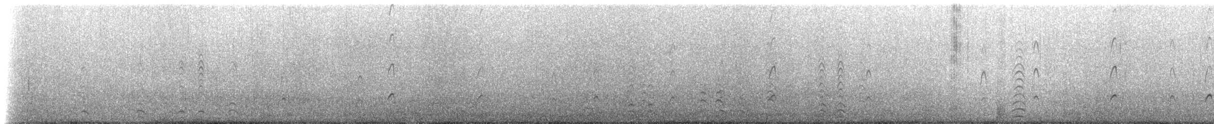 American Oystercatcher - ML228013