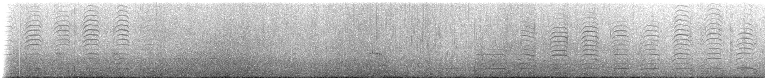 Kelp Gull (dominicanus) - ML228014