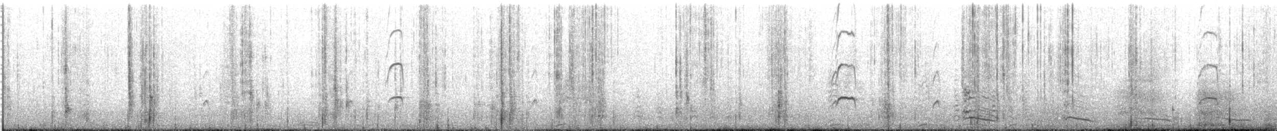 Blackish Oystercatcher - ML228015