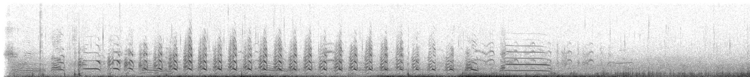 Kelp Gull (dominicanus) - ML228016