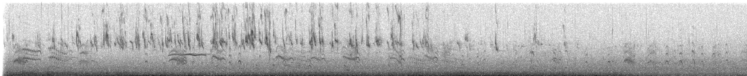 White-rumped Sandpiper - ML228018