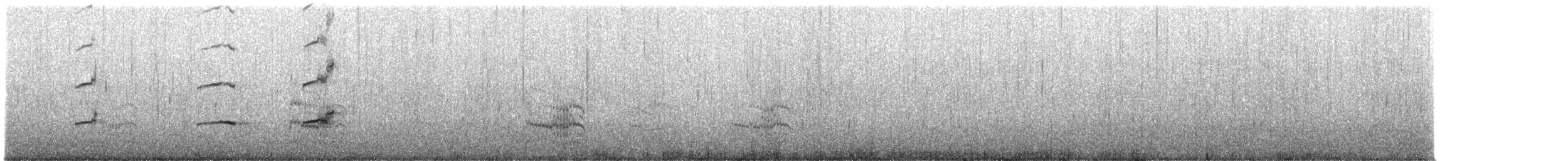 Magellanic Oystercatcher - ML228019