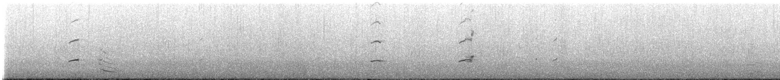 Magellanic Oystercatcher - ML228022