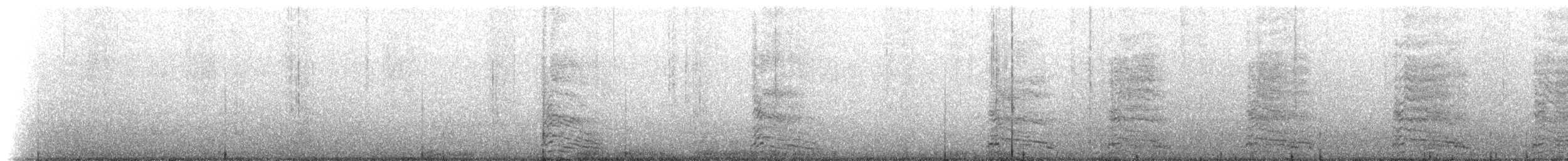 racek jižní (ssp. dominicanus) - ML228023