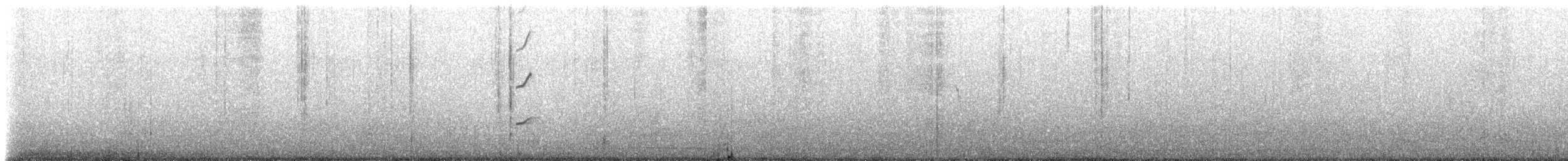 Magellanic Oystercatcher - ML228024