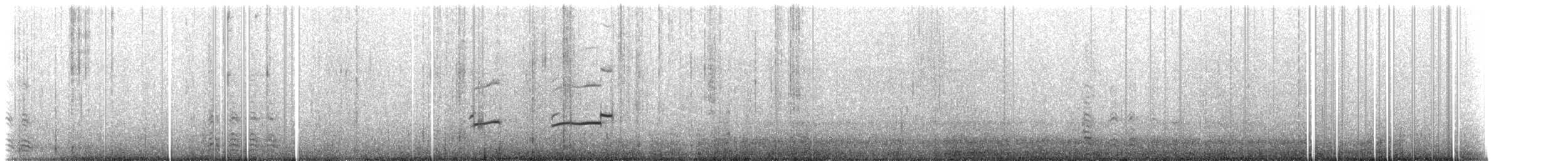 White-rumped Sandpiper - ML228026