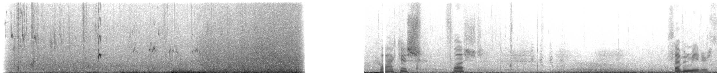 Blackish Oystercatcher - ML228027