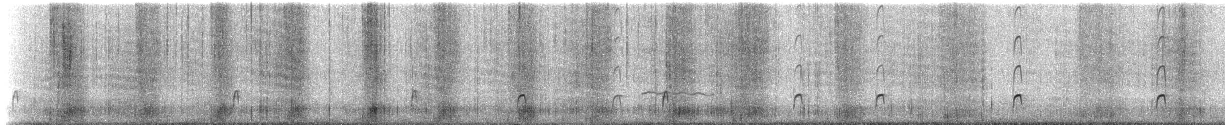 Magellanic Oystercatcher - ML228028