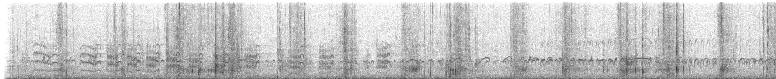 Magellanic Oystercatcher - ML228032